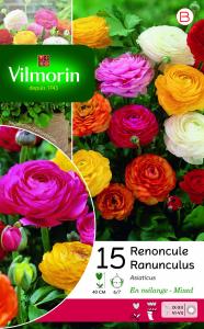 Renoncule En Mélange